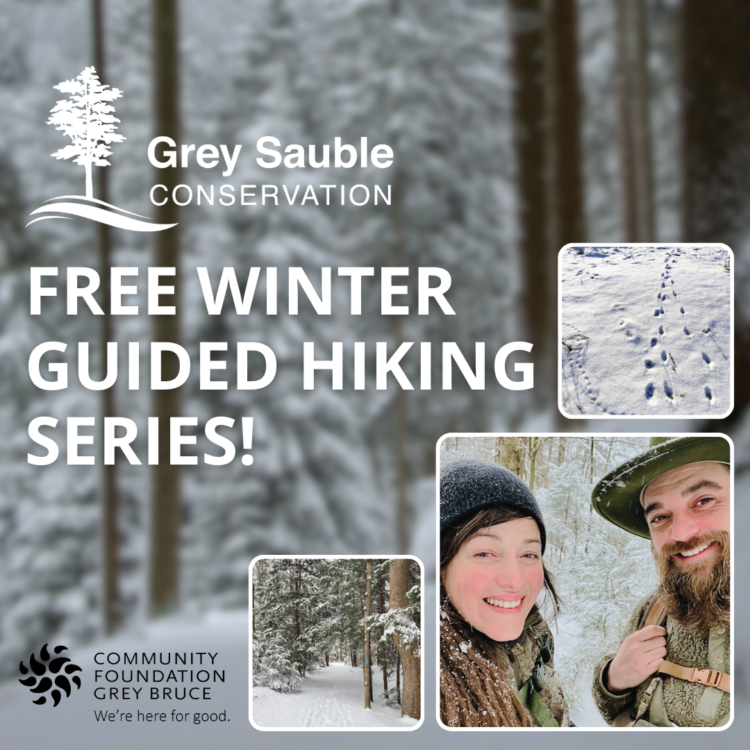 Event image Free Winter Guided Hiking Series (Wilderness Learning Experience)